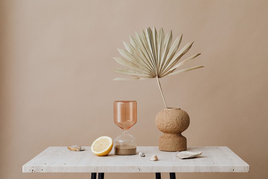 Jarrotes y plantas en tonos beige